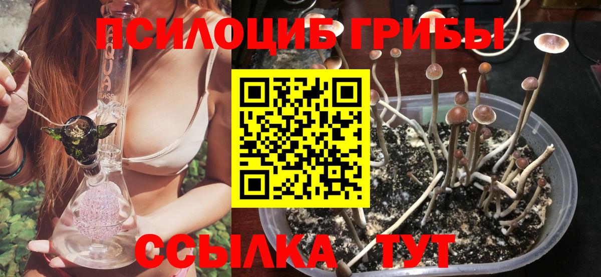 Кудрово  Галлюциногенные грибы ЛСД  Галлюциногенные грибы ЛСД  Вход с VPN 