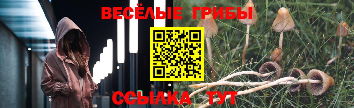 Галлюциногенные грибы ЛСД Кудрово